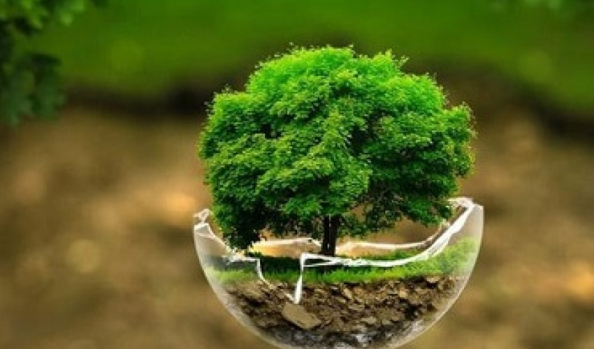 Webinar on flood spreading and its role in improving groundwater resources